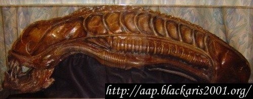 Alien Warrior Head