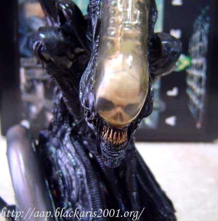 Alien Pile