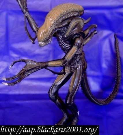 Alien Warrior Tsukuda Hobby