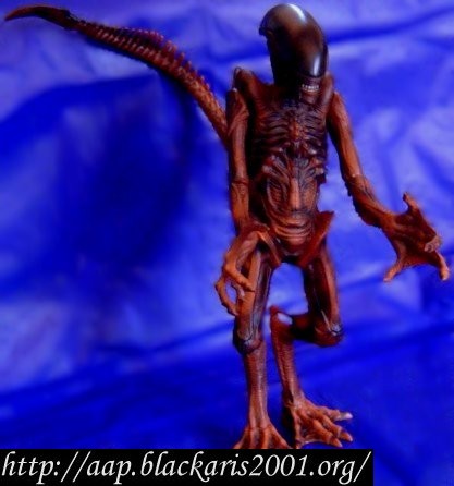 Warrior Alien Tsukuda Hobby