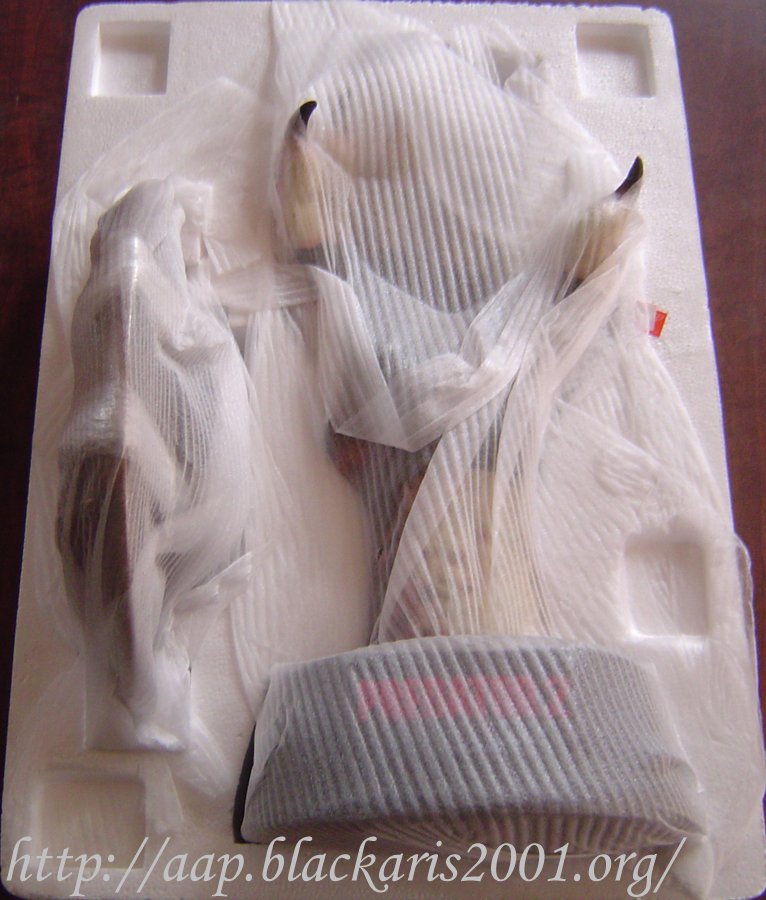 PREDATOR 2 1:1 SCALE CUTTING DISC