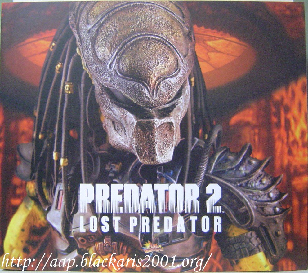 Lost Predator