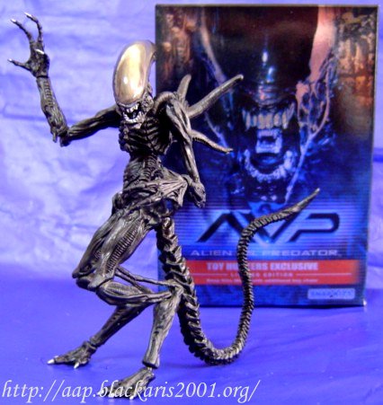 Toy Hunters HongKong Exclusive