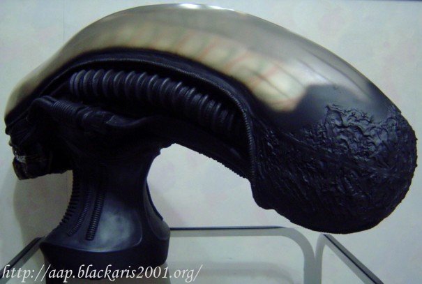 Alien Head Prop Replica