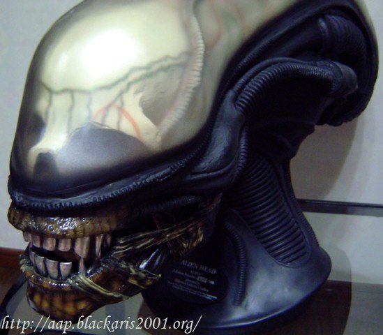 Alien Head Prop Replica