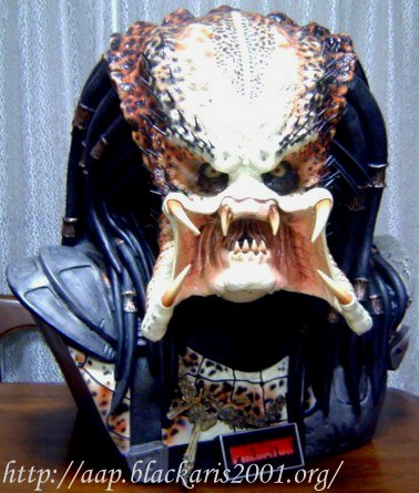 Predator 1/1 Bust