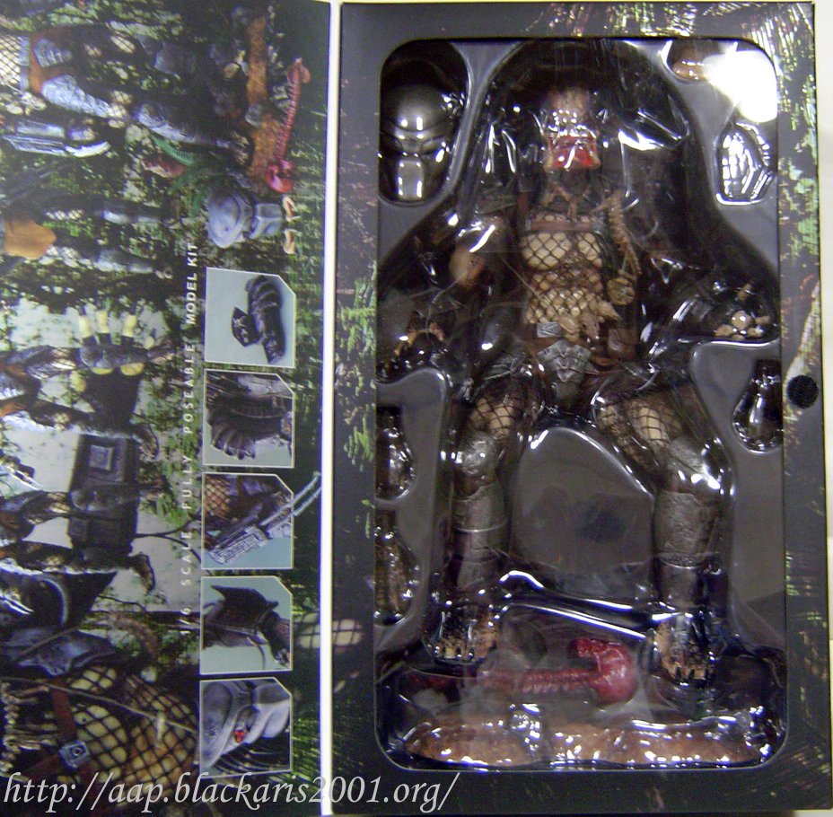 Predator Sideshow Exclusive