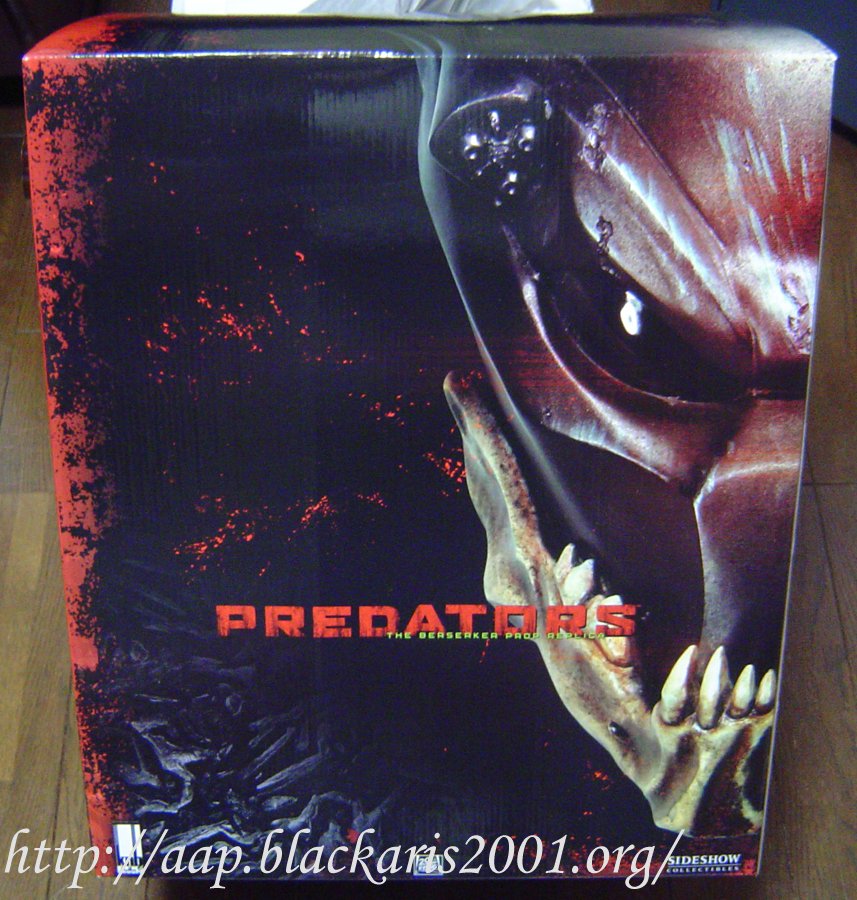 The Berserker Mask Prop Replica