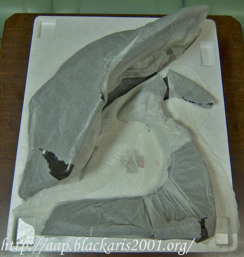 The Falconer Mask Prop Replica