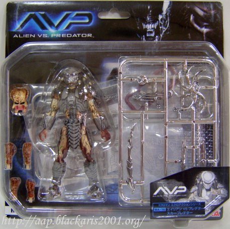 Scar Predator
